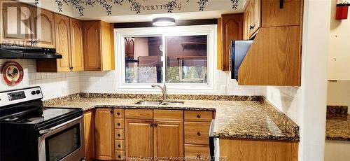 1050 Bartlet, Windsor, ON - Indoor Photo Showing Kitchen With Double Sink