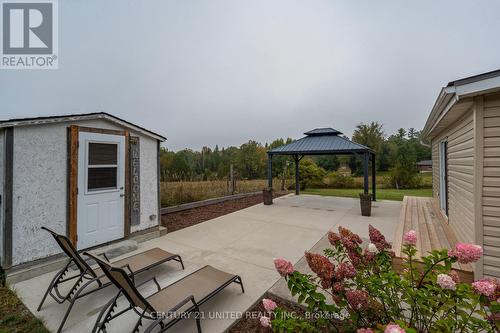 3774 Highway 28, Douro-Dummer, ON - Outdoor