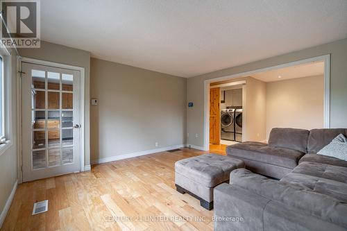 3774 Highway 28, Douro-Dummer, ON - Indoor Photo Showing Living Room