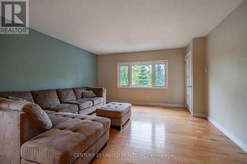 3774 Highway 28, Douro-Dummer, ON - Indoor Photo Showing Living Room