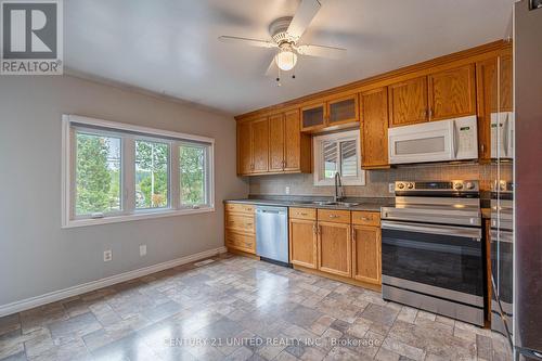 3774 Highway 28, Douro-Dummer, ON - Indoor Photo Showing Kitchen