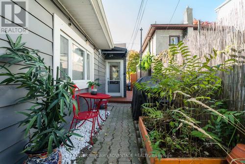 17 Blackburn Street, Toronto, ON - Outdoor