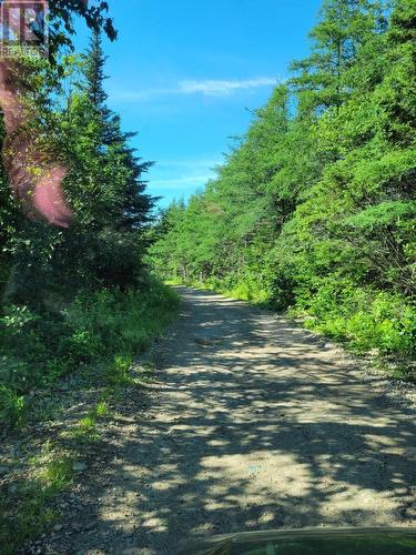 33 Colson Crescent, St George'S, NL - Outdoor With View