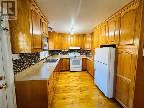 2025 Red Cliff Road, Grand Falls-Windsor, NL - Indoor Photo Showing Kitchen With Double Sink