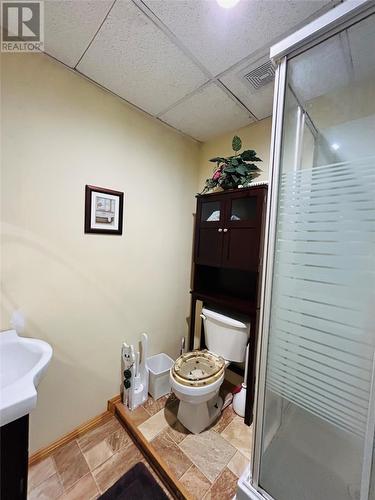 2025 Red Cliff Road, Grand Falls-Windsor, NL - Indoor Photo Showing Bathroom