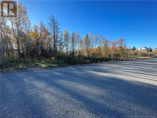 Lot 20-1 Roy Scenic Drive, Irishtown, NB 