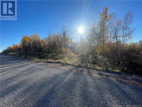 Lot 20-1 Roy Scenic Drive, Irishtown, NB 