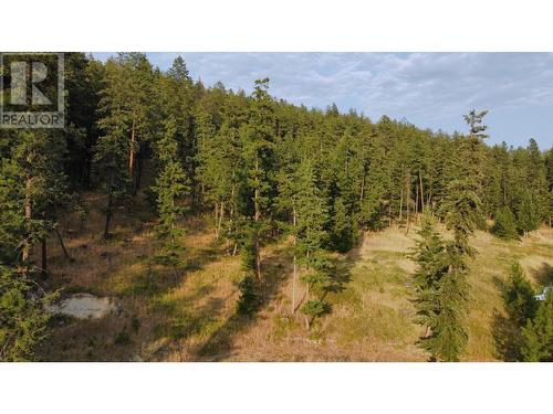 7465 Bwater Rd Road, Castlegar, BC - Outdoor With View