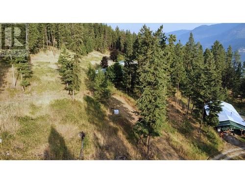 7465 Bwater Rd Road, Castlegar, BC - Outdoor With View