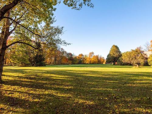 Backyard - 249 Ch. Papineau, Lac-Brome, QC - Outdoor With View