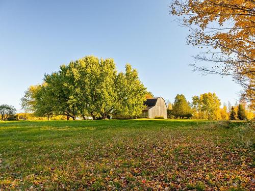 Backyard - 249 Ch. Papineau, Lac-Brome, QC - Outdoor