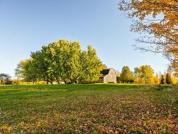 Backyard - 