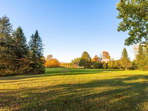 Backyard - 249Z Ch. Papineau, Lac-Brome, QC 