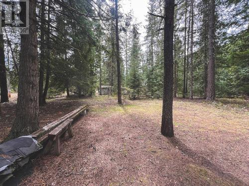 210 Belmond Road, Salmo, BC - Outdoor