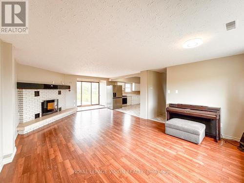 4049 Hwy 6, Hamilton, ON - Indoor Photo Showing Living Room With Fireplace