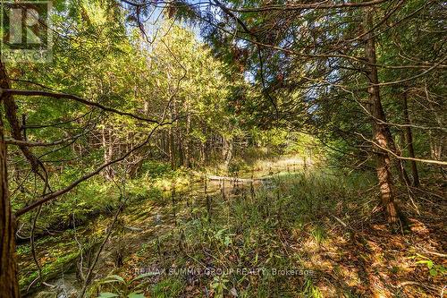 403560 Grey Road 4, West Grey, ON - Outdoor