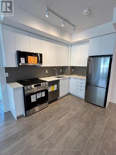 419 - 225 Malta Drive, Brampton, ON - Indoor Photo Showing Kitchen