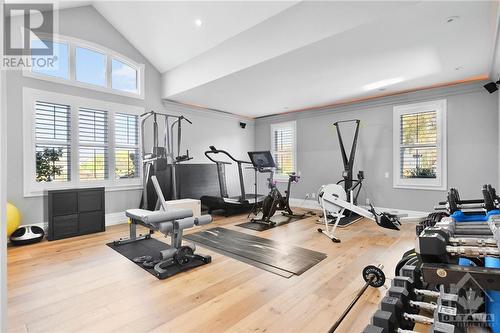 Vaulted ceilings, Bose surround sound, built-in shelves and bookcases - 144 Kerry Hill Crescent, Ottawa, ON - Indoor Photo Showing Gym Room