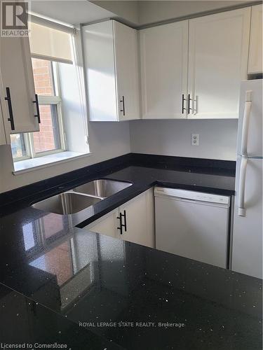 914 - 1270 Maple Crossing Boulevard, Burlington, ON - Indoor Photo Showing Kitchen With Double Sink