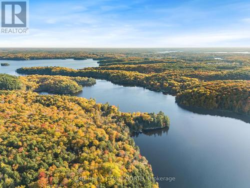 62 Mill Lake Trail, Mcdougall, ON - Outdoor With Body Of Water With View