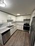 Lower - 623 Niagara Street, St. Catharines, ON  - Indoor Photo Showing Kitchen With Double Sink 