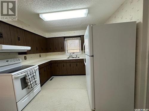 832 Railway Avenue, Bruno, SK - Indoor Photo Showing Kitchen