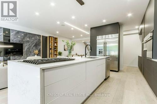 284 Ellis Avenue, Toronto, ON - Indoor Photo Showing Kitchen With Upgraded Kitchen