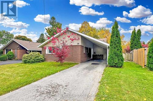 38 Cartier Crescent, Toronto, ON - Outdoor