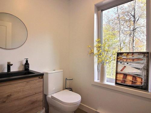 Salle d'eau - 3205 Rue De La Musarde, Wentworth-Nord, QC - Indoor Photo Showing Bathroom