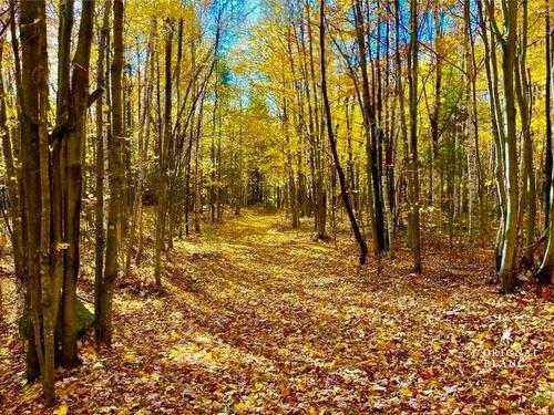 ExtÃ©rieur - 3205 Rue De La Musarde, Wentworth-Nord, QC - Outdoor With View