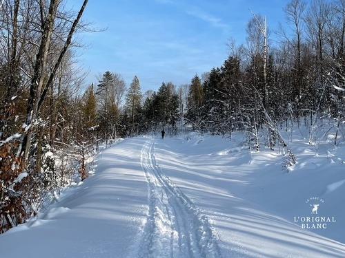 ExtÃ©rieur - 3205 Rue De La Musarde, Wentworth-Nord, QC - Outdoor With View