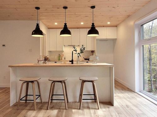 Cuisine - 3205 Rue De La Musarde, Wentworth-Nord, QC - Indoor Photo Showing Kitchen With Upgraded Kitchen