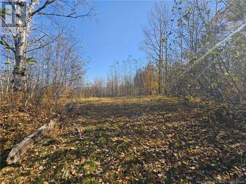 33.8 Acres Riverside Drive, Bathurst, NB 