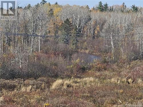 33.8 Acres Riverside Drive, Bathurst, NB 