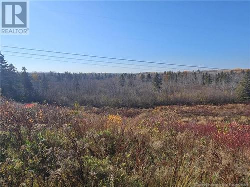 33.8 Acres Riverside Drive, Bathurst, NB 