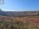 33.8 Acres Riverside Drive, Bathurst, NB 