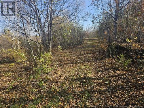 33.8 Acres Riverside Drive, Bathurst, NB 