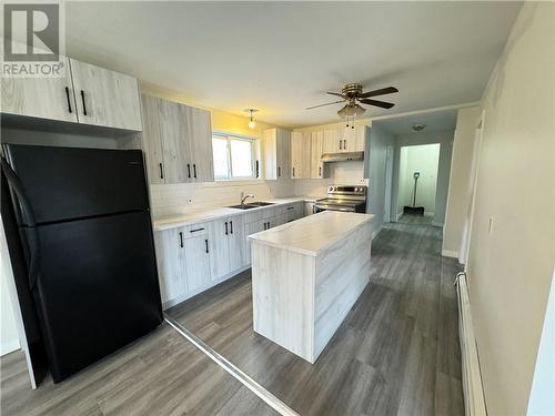 749 Ontario Street, Sudbury, ON - Indoor Photo Showing Kitchen With Double Sink