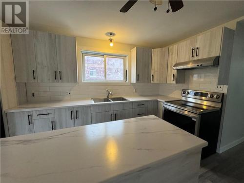 749 Ontario Street, Sudbury, ON - Indoor Photo Showing Kitchen With Double Sink