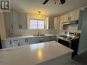 749 Ontario Street, Sudbury, ON  - Indoor Photo Showing Kitchen With Double Sink 