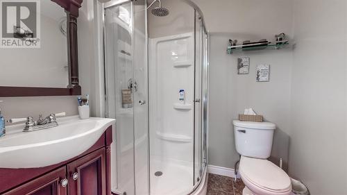 143 Hamlyn Road, St. John'S, NL - Indoor Photo Showing Bathroom