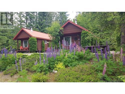 1200 Hotsprings Road Road Lot# 2, Nakusp, BC - Outdoor