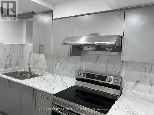 Bsmt - 6 Clearview Court, Brampton, ON - Indoor Photo Showing Kitchen With Double Sink With Upgraded Kitchen