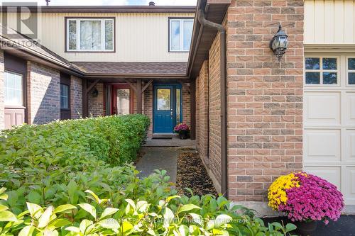 822 Laurier Avenue, Milton, ON - Outdoor