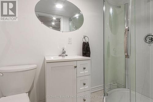 250 Apple Hill Crescent, Kitchener, ON - Indoor Photo Showing Bathroom