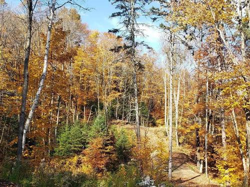 Terre/Terrain - 9E Rang, Saint-Côme, QC 