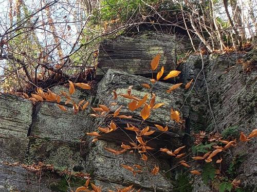 Terre/Terrain - 9E Rang, Saint-Côme, QC 