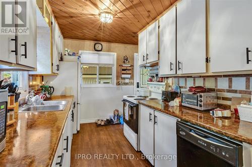 3857 County Rd 36 Road, Galway-Cavendish And Harvey, ON - Indoor Photo Showing Kitchen With Double Sink