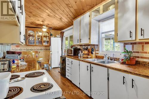 3857 County Rd 36 Road, Galway-Cavendish And Harvey, ON - Indoor Photo Showing Kitchen With Double Sink