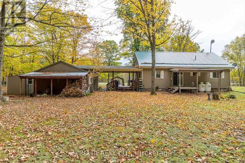 3857 County Rd 36 Road, Galway-Cavendish And Harvey, ON - Outdoor With Deck Patio Veranda